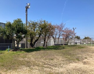 20250127_183825.jpg