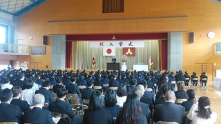 IMG_20250409_094613.jpg